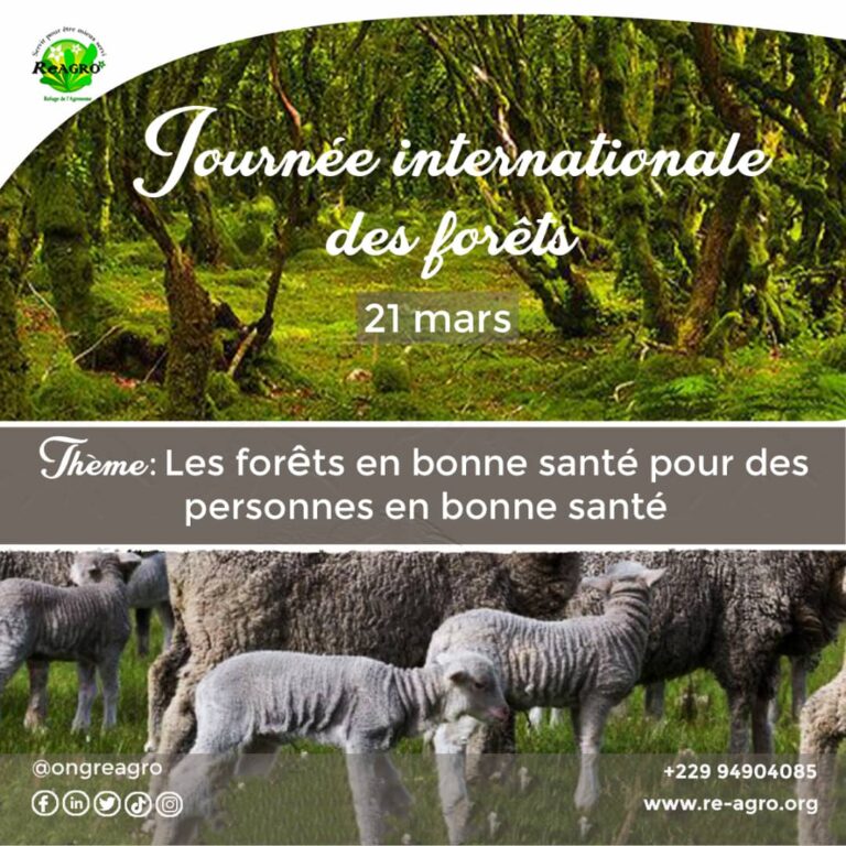 Journée Internationale des Forêts 2023 - ReAgro