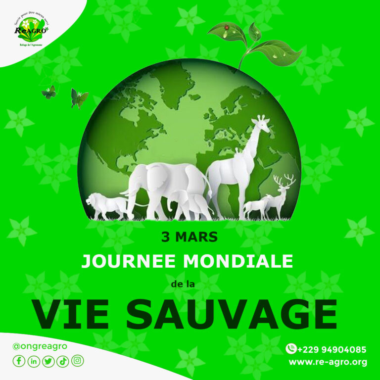 Journée mondiale de la vie sauvage