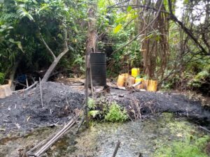 ANTHROPISATION AGONVE