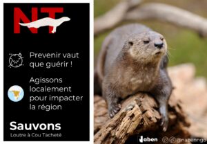 Journée Mondiale des Loutres.