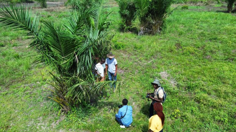 Deuxième Phase du Projet « Initiation au Rugby pour la Restauration des Écosystèmes Forestiers et Humides d’Agonvè