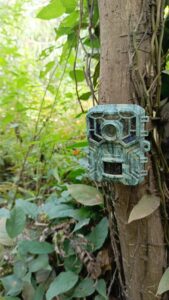 Caméras Trap sur l'île d’Agonvè