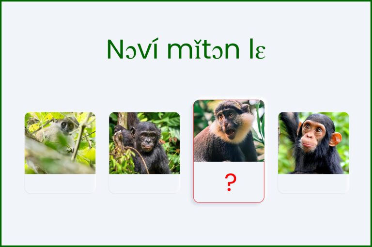 Especes de singes