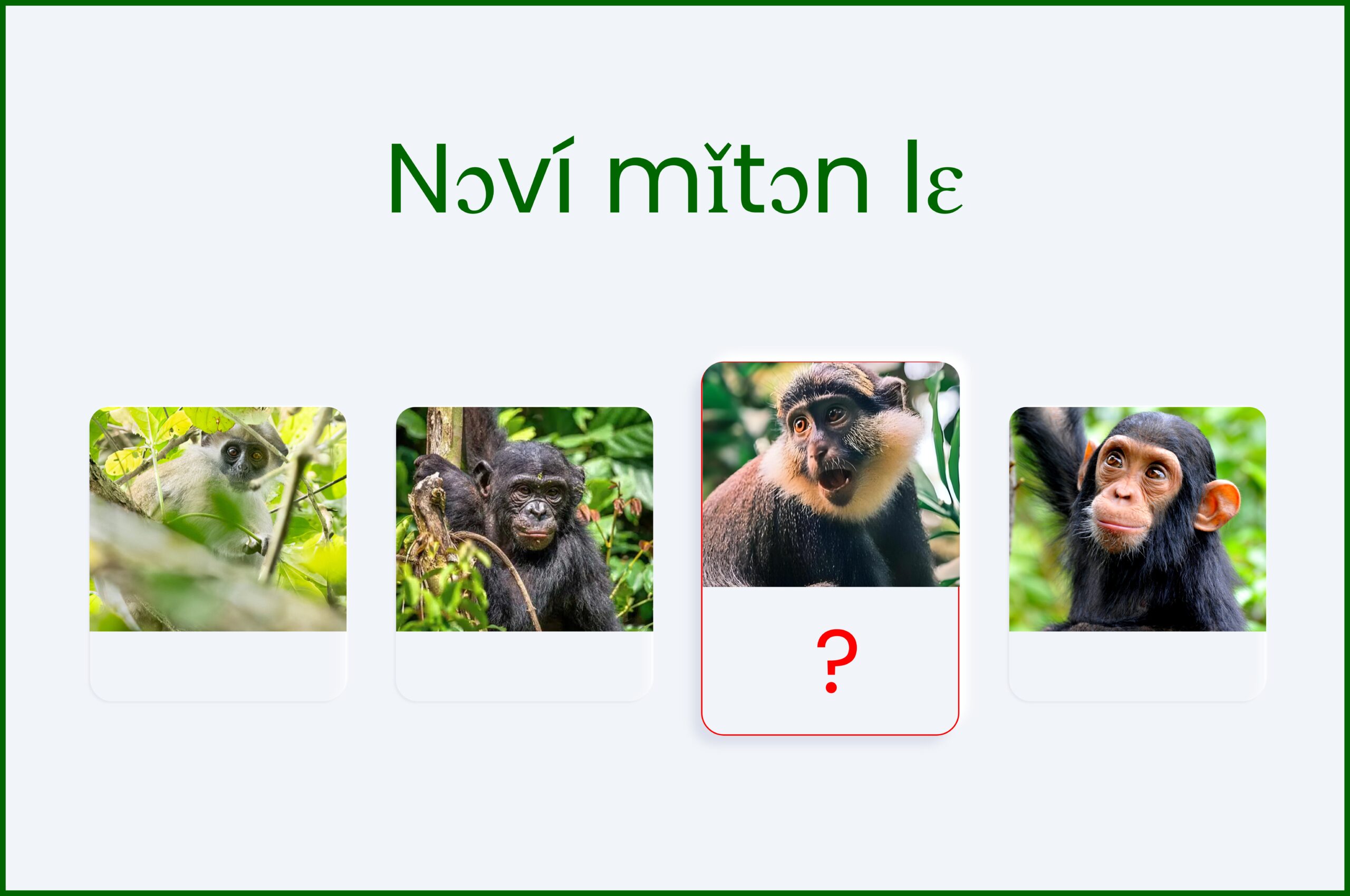 Especes de singes