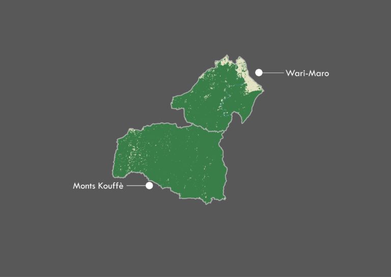 Wari-Maro et Monts Kouffè
