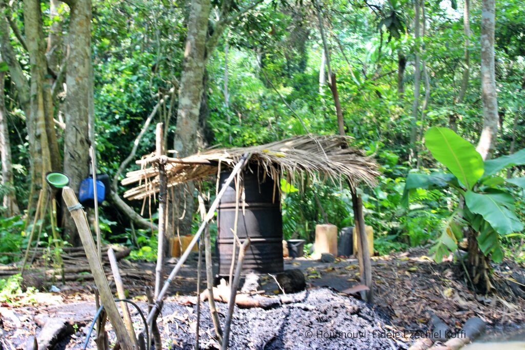 Production artisanale d'alcool, illustrant les activités d'extraction de ressources au sein de la forêt.