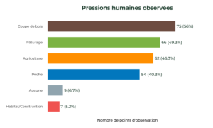 Pressions Humaines