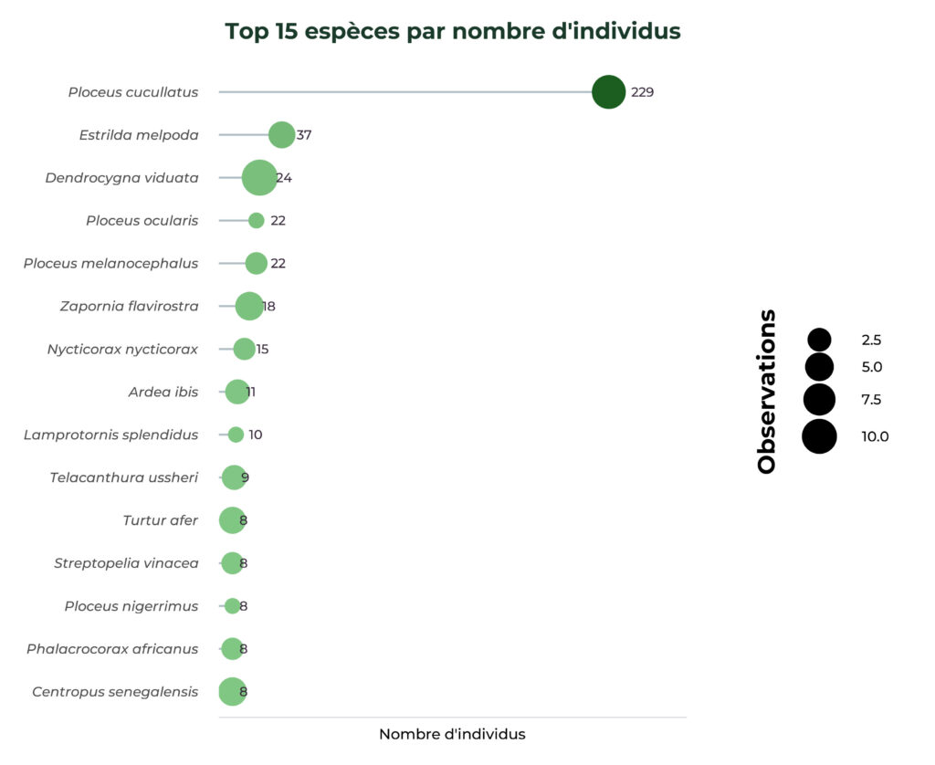 Top15 Individus