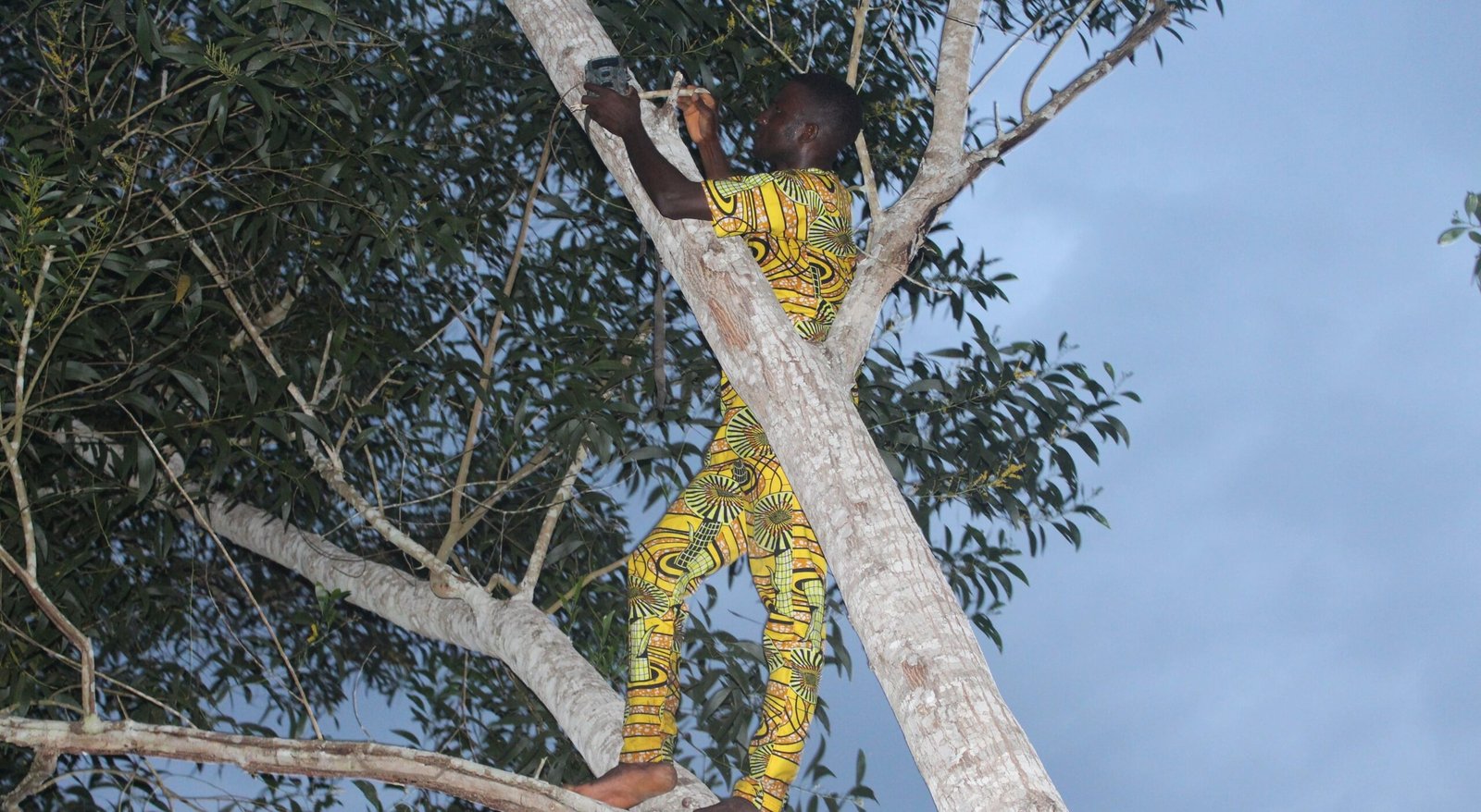 Bilan des six premiers mois du programme de conservation ds primates à Lokoli